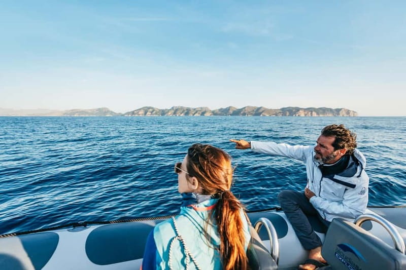 Alcudia or Can Picafort: Dolphin-Watching Cruise - Key points to know before you book