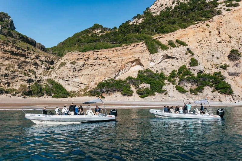 Alcudia or Can Picafort: Dolphin-Watching Cruise - Booking and weather notes