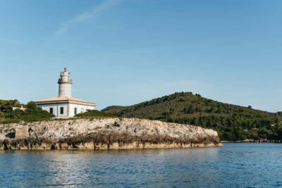 Alcudia or Can Picafort: Dolphin-Watching Cruise