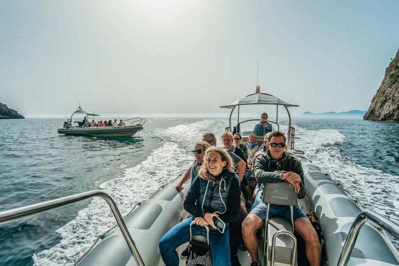Alcudia or Can Picafort: Dolphin-Watching Cruise - Cabo Formentor and Mallorca from the water