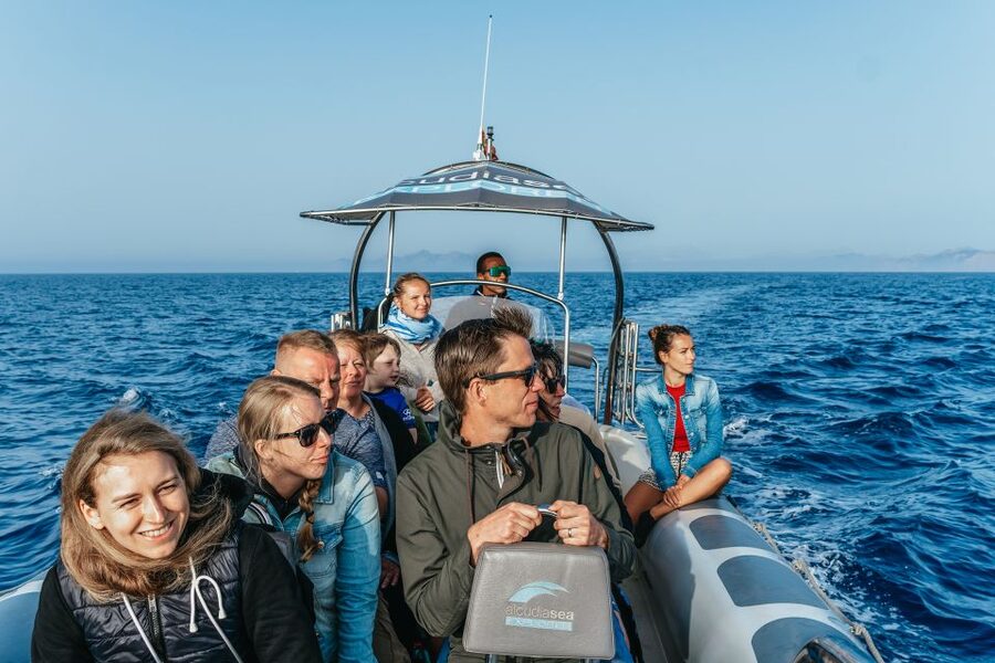 Alcudia or Can Picafort: Dolphin-Watching Cruise - What the crew adds to the experience