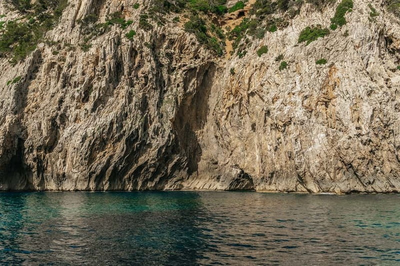 Alcudia or Can Picafort: Dolphin-Watching Cruise - Is the $100 price fair?
