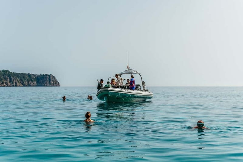 Alcudia or Can Picafort: Dolphin-Watching Cruise - Who should book this cruise?
