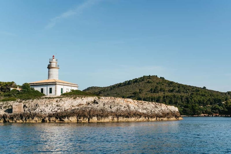Alcudia or Can Picafort: Dolphin-Watching Cruise - Finding pods in their natural setting
