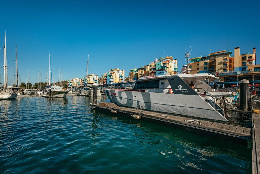 Algarve 3-Hour Caves and Coastline Boat Trip - The main deck, bar, and optional flybridge