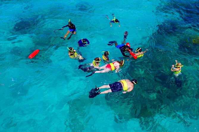 All Inclusive Snorkel and Slide Boat Tour: Icacos or Vieques - Reef time followed by beach time