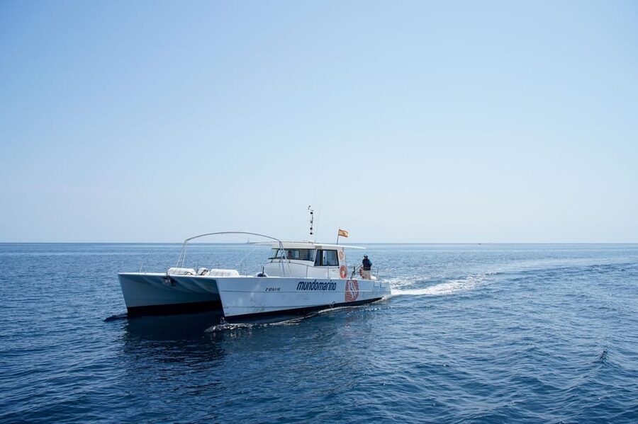 Altea: Catamaran Tour with Sunset Option - How good is the $17 value?