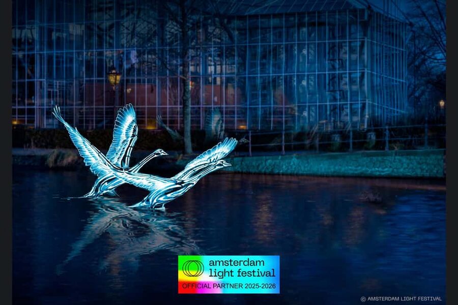 Amsterdam: Light Festival Heated Cruise + Hot Choco + Snack - Drinks, hot chocolate, and the snack choice