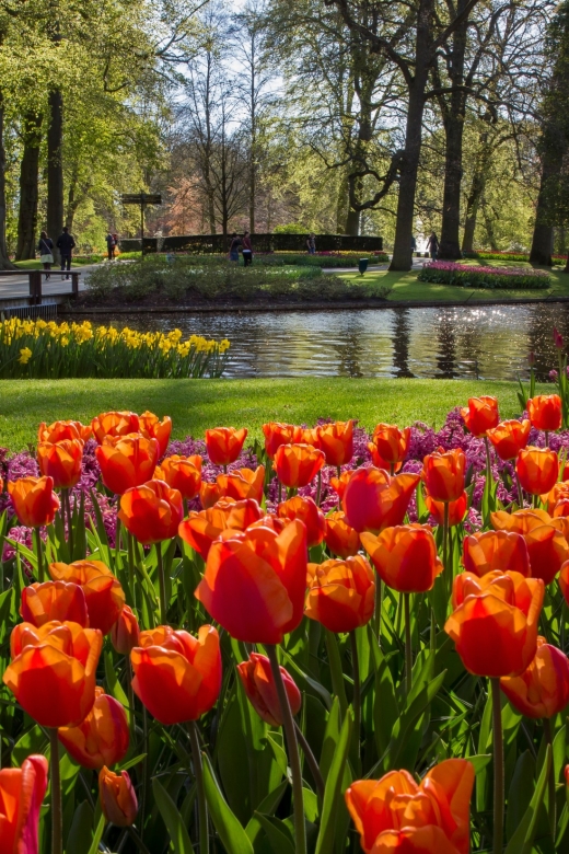 Amsterdam: Tour to Keukenhof Gardens with Windmill Cruise - The coach ride into South Holland