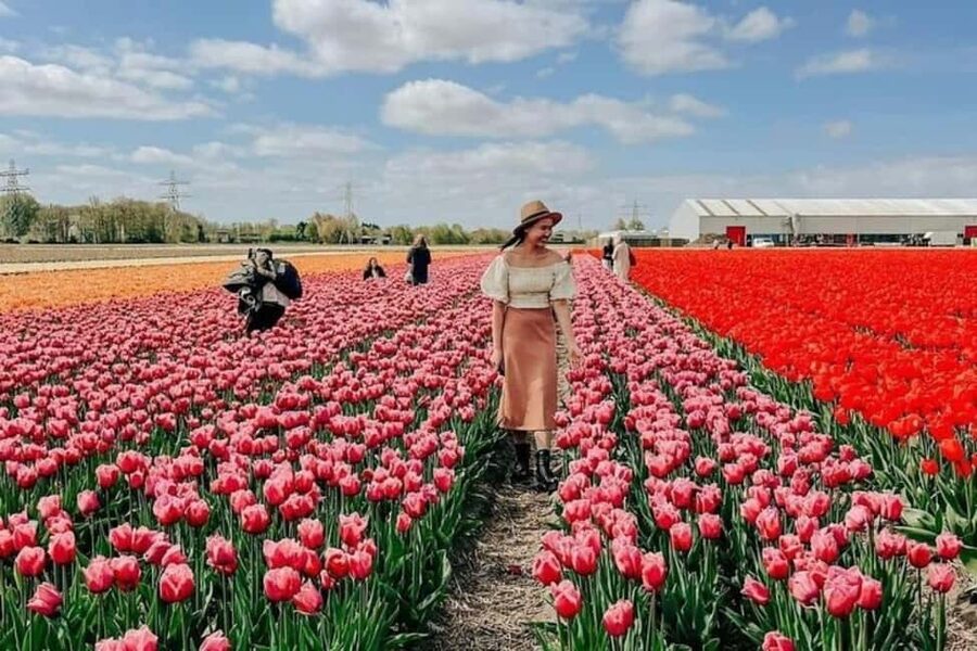 Amsterdam: Tulip Farm Visit, Keukenhof, and Windmill Cruise - Finding This Holland Before 8 a.m.