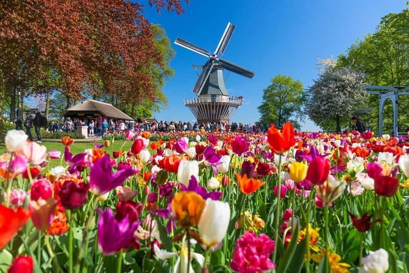 Amsterdam: Tulip Farm Visit, Keukenhof, and Windmill Cruise - Four Hours Inside Keukenhof