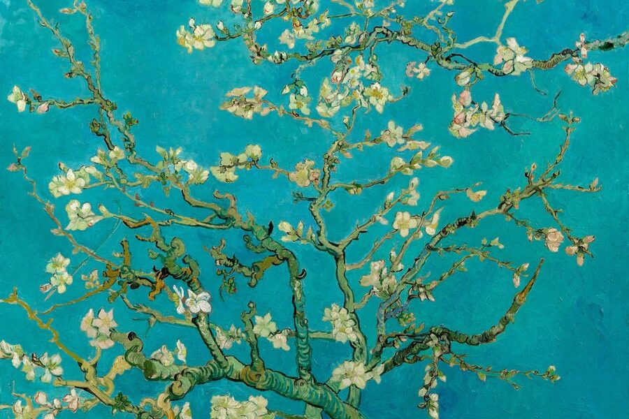 Amsterdam: Van Gogh Museum Ticket and City Canal Cruise - Allow time for the art, not just the famous names