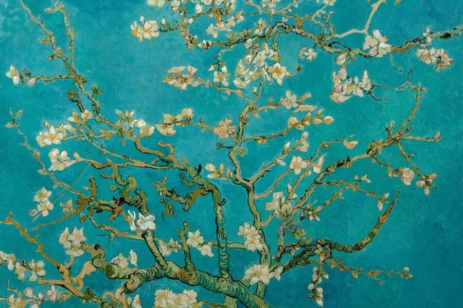 Amsterdam: Van Gogh Museum Ticket & Canal Cruise - Should you book the Van Gogh Museum and canal cruise?