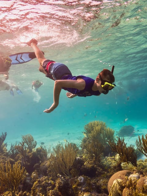 Ao Nang: 4 Islands Day Tour by Speedboat or Longtail Boat - Chicken Island for swimming and snorkeling