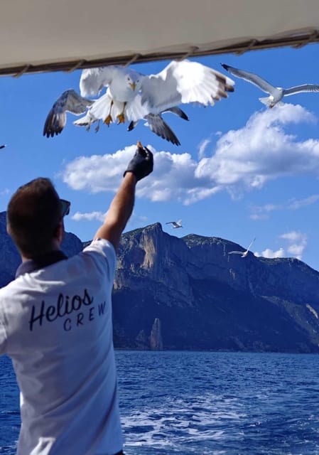 Arbatax: Gulf of Orosei Day Tour by Boat - Key points to know before booking