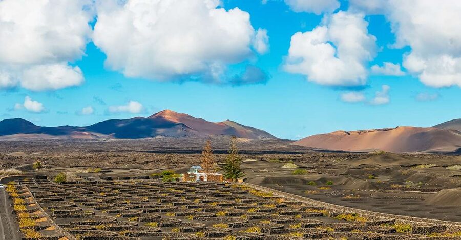 Arrecife: Timanfaya and Green Lagoon for Cruise Passengers - Why Timanfaya deserves the best seat on the bus