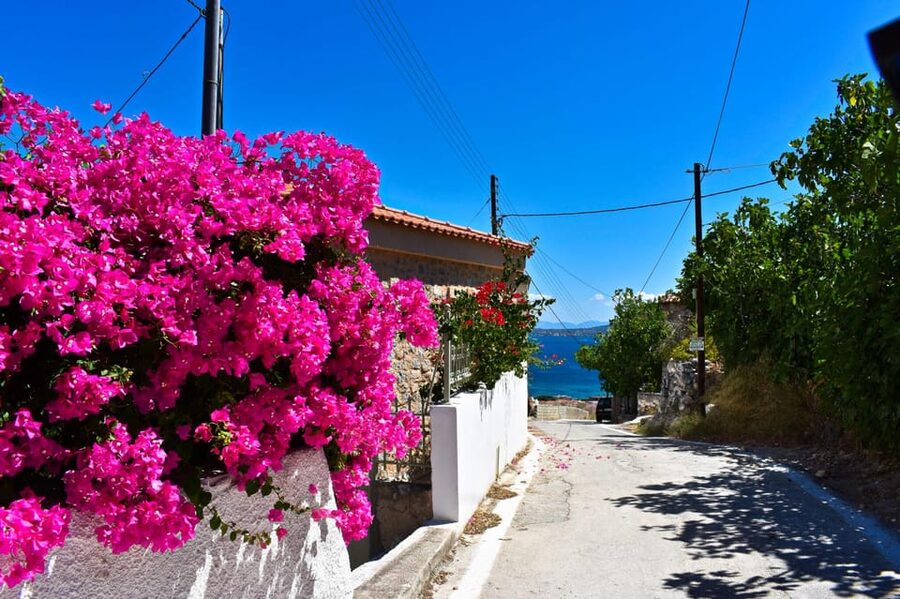 Athens: Agistri, Metopi & Aegina Cruise with Meals & Drinks - The Moni or Metopi swim stop