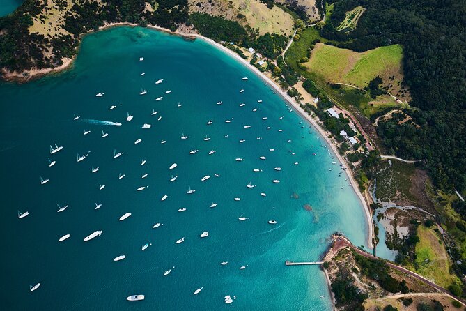 Auckland Harbour Sailboat Cruise Including Three Course Dinner - Is the $105.50 price good value?
