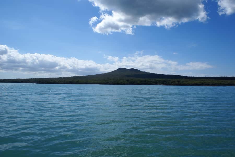 Auckland: Tikapa Moana Whales, Dolphins and Islands Cruise - Man O’ War Vineyard for wine and lunch