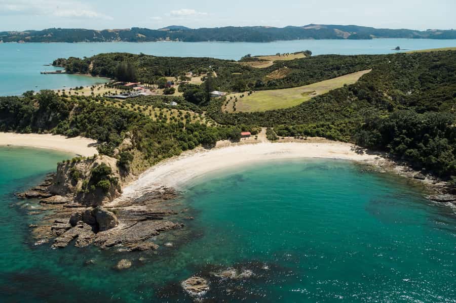 Auckland: Tikapa Moana Whales, Dolphins and Islands Cruise - Who will enjoy this cruise most?
