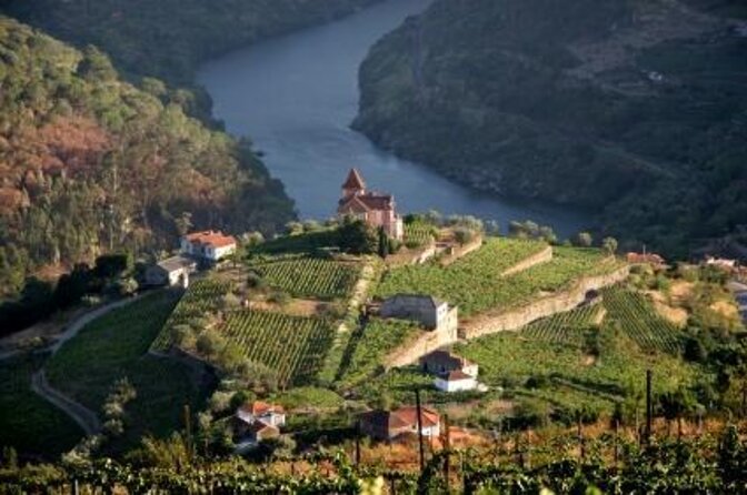 Authentic Small Group Douro Wine Tour with Lunch & River Cruise - Five things to know before booking