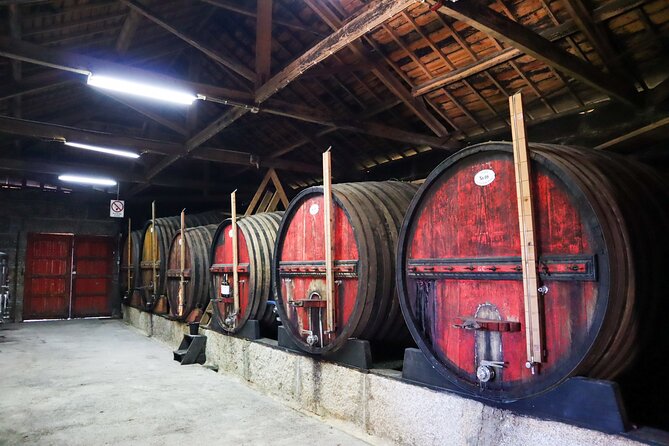 Authentic Small Group Douro Wine Tour with Lunch & River Cruise - The N222 and the views are part of the experience