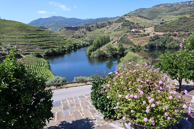 Authentic Small Group Douro Wine Tour with Lunch & River Cruise - What happens if the weather changes