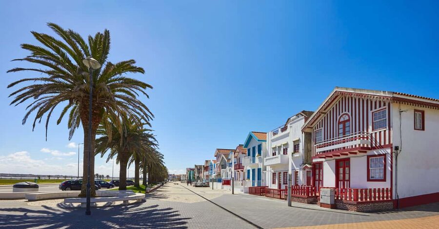 Aveiro: Half-Day Tour from Porto with Optional Cruise - Guides, vehicles, and the human side