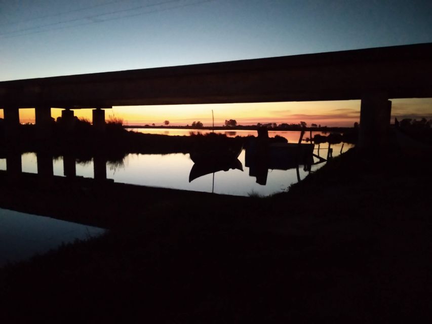 Aveiro: Walking Tour, Boat Cruise, Sweets & Church Entrance - Ovos moles, Aveiro’s sweet calling card