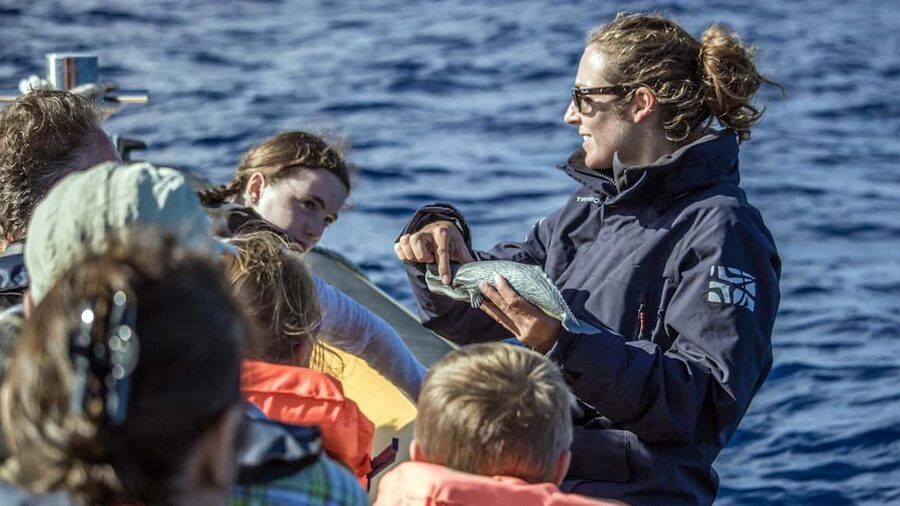 Azores: Whale Watching & Islet Boat Tour w/ Marine Biologist - A marine expedition from Vila Franca do Campo