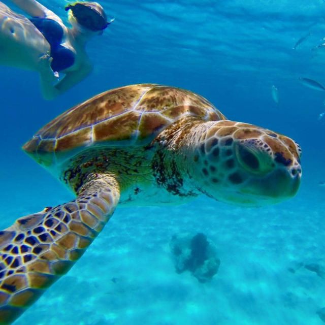 Barbados: Catamaran Tour with Snorkeling and Lunch - Who should book this catamaran trip