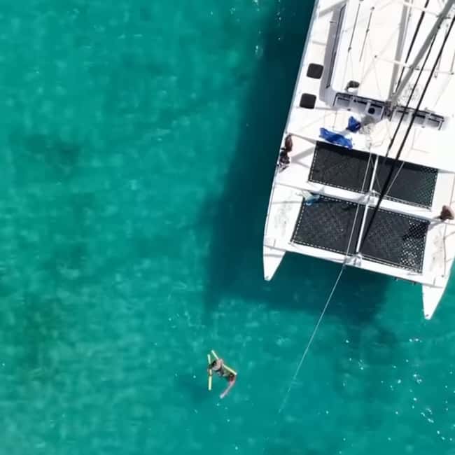 Barbados: Catamaran Tour with Snorkeling and Lunch - Carlisle Bay turtles and the first swim