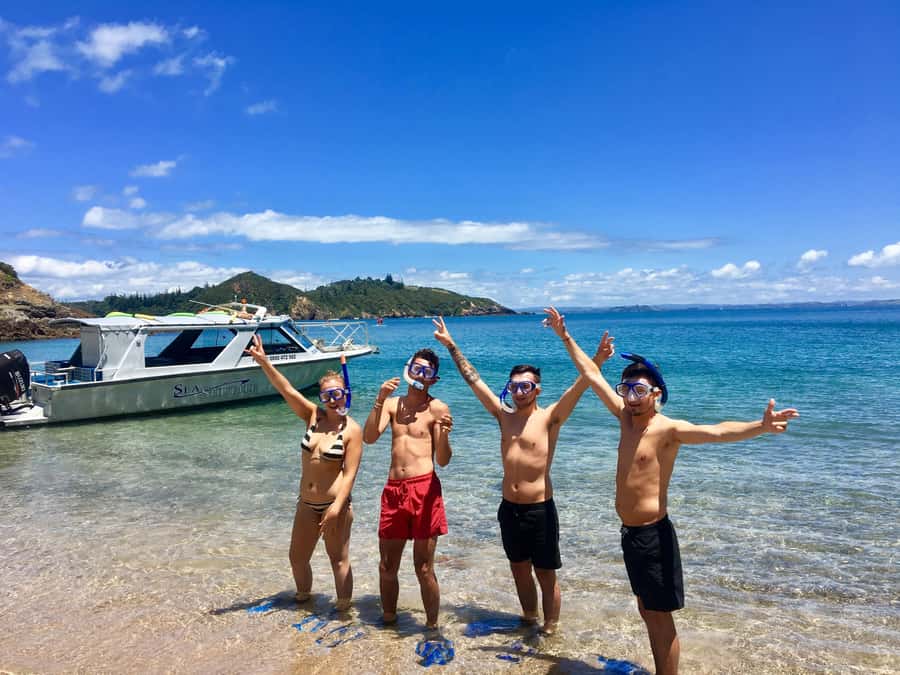 Bay of Islands: 4.5 Hour Day Cruise and Island Getaway Tour - Why this 4.5-hour cruise works so well