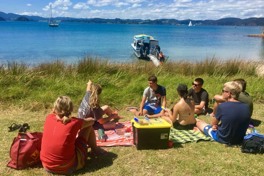 Bay of Islands: 4.5 Hour Day Cruise and Island Getaway Tour - Should you book Island Getaway?
