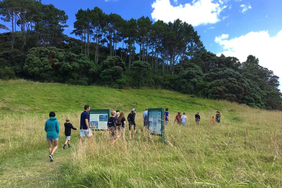 Bay of Islands: 4.5 Hour Day Cruise and Island Getaway Tour - Wildlife, sea life, and the value of good guiding
