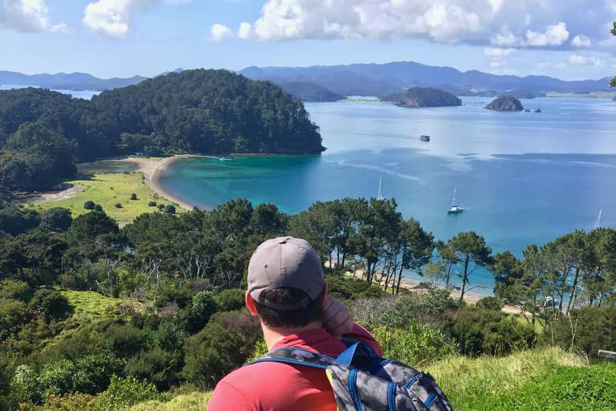 Bay of Islands: 4.5 Hour Day Cruise and Island Getaway Tour - Group size, comfort, and who should book