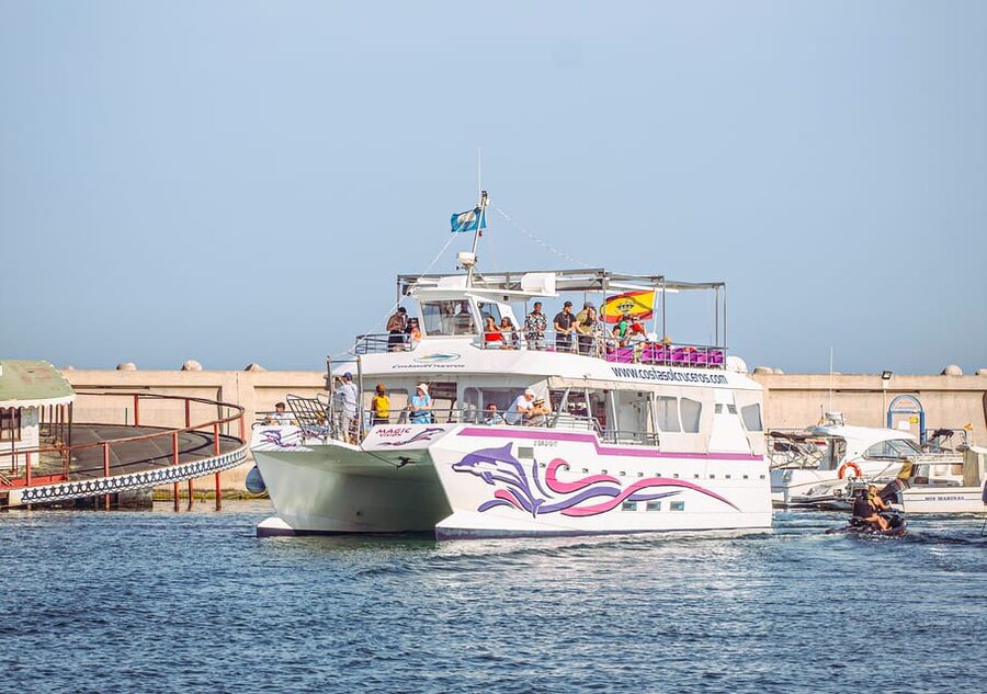 Benalmadena: Dolphin Watching Boat Tour - Key points at a glance
