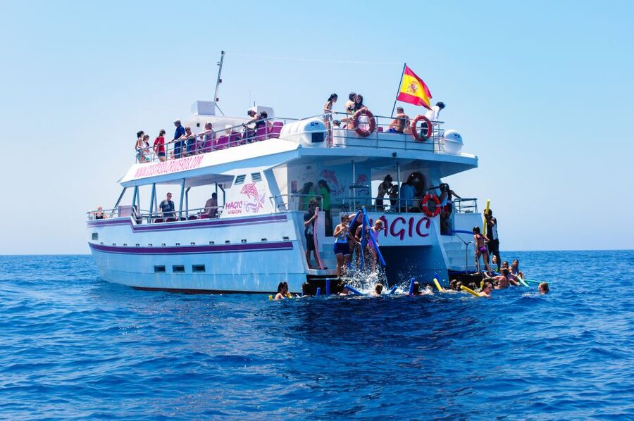 Benalmadena: Dolphin Watching Boat Tour - Practical advice before you board