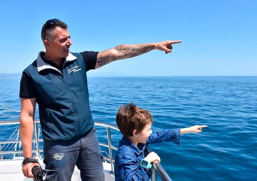 Benalmadena: Dolphin Watching Boat Tour - A respectful wildlife experience
