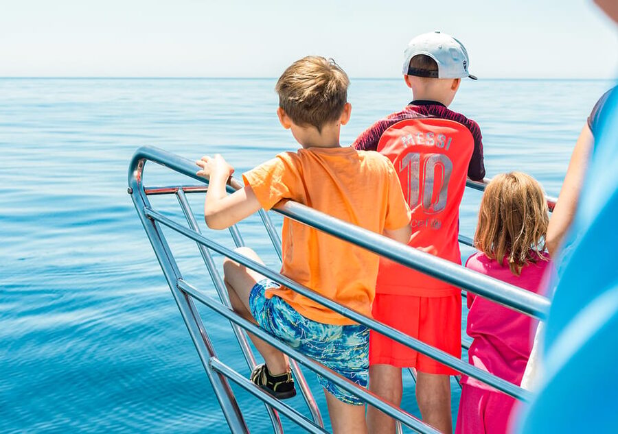 Benalmadena: Dolphin Watching Boat Tour - The optional summer swim