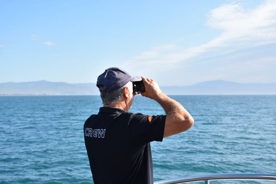 Benalmadena: Dolphin Watching Boat Tour - Is $22 a fair price?
