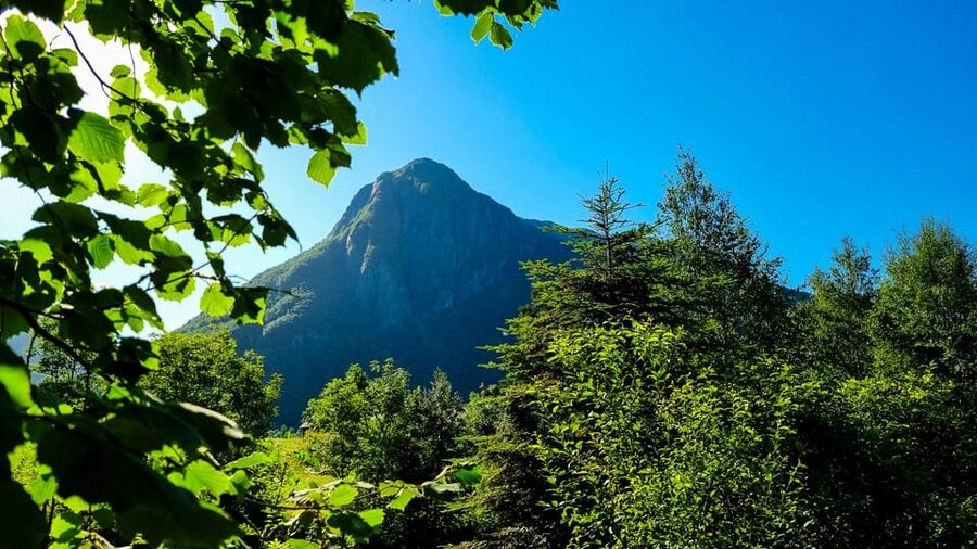 Bergen: Cruise to beautiful Rosendal by the Hardangerfjord - Weekday timing and the return to Bergen