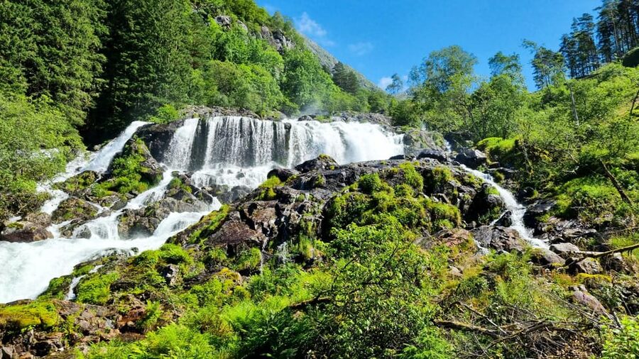 Bergen: Cruise to beautiful Rosendal by the Hardangerfjord - The two-hour catamaran ride
