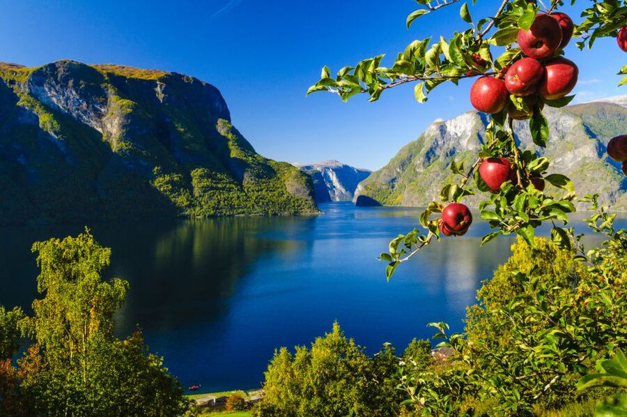 Bergen: Viking Village, Nærøyfjord Cruise & Flåm Railway - Why this Bergen day trip covers so much ground