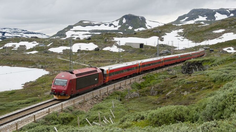 Bergen: Viking Village, Nærøyfjord Cruise & Flåm Railway - What $418 buys you