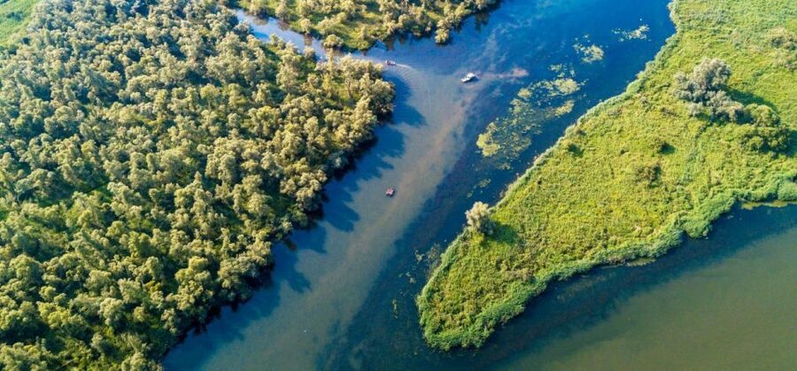 Biesbosch: Boat Cruise through National Park - Seeing the Biesbosch From the Water