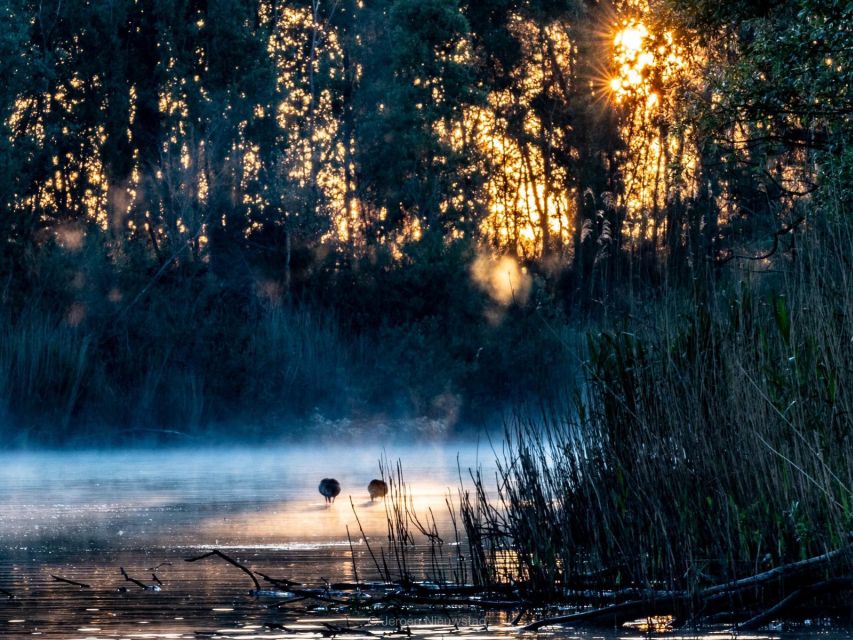 Biesbosch: Boat Cruise through National Park - Is Two Hours Worth $21?