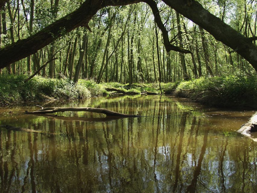 Biesbosch: Boat Cruise through National Park - Wildlife Watching Along the Channels