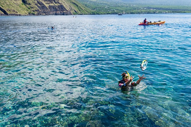 Big Island: Captain Cook Snorkel On A Power Catamaran With Lunch - Two hours of snorkeling in Captain Cook’s bay