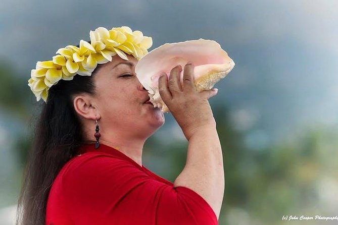 Big Island Historical Dinner Cruise to Kealakekua Bay - Dinner after the historical narration